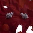 Ohrstecker Silber kleine Schnecke Kinderschmuck